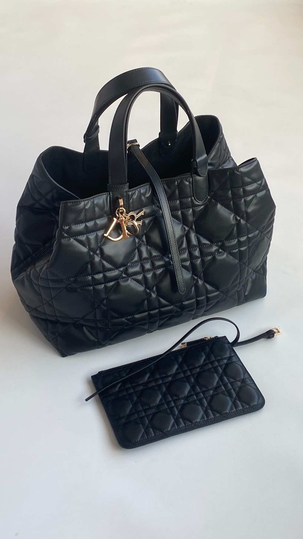 디올 Toujours 라지 백