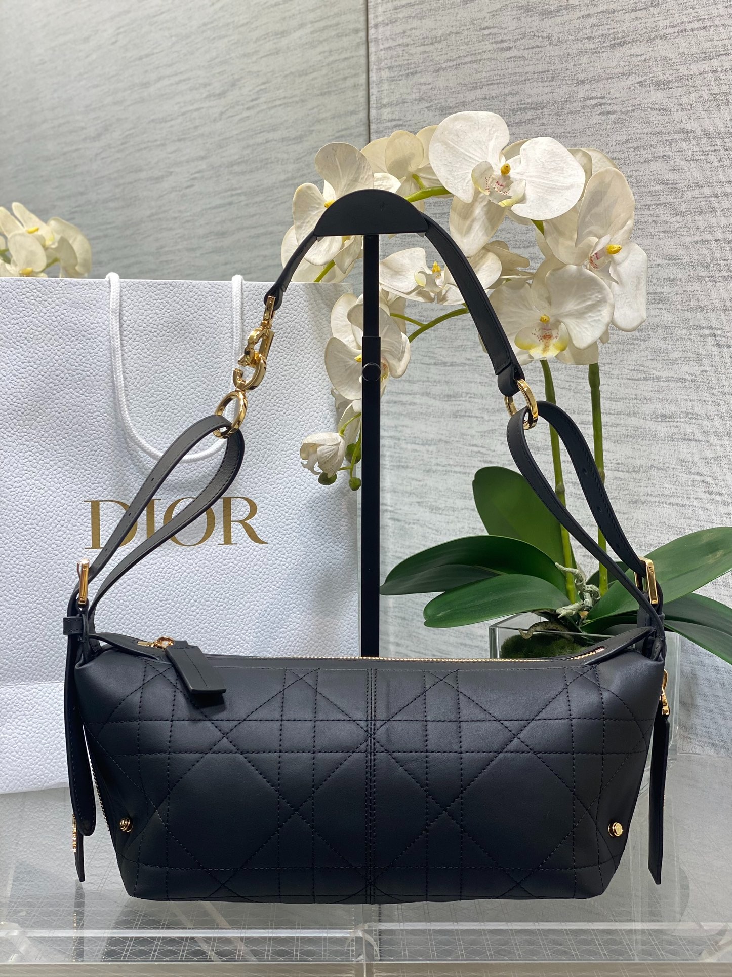 디올 디저니 호보백