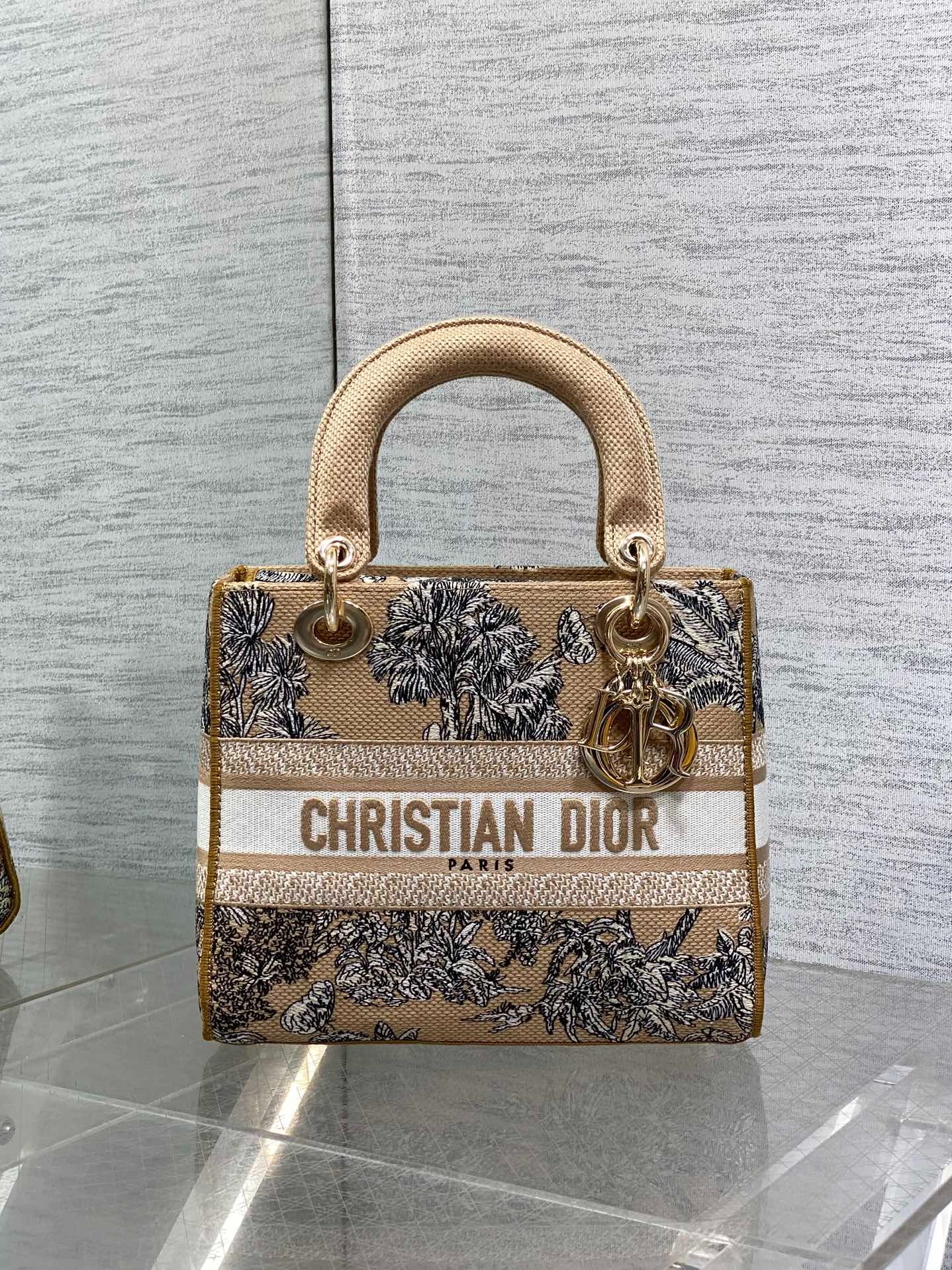 디올 디 라이트 백