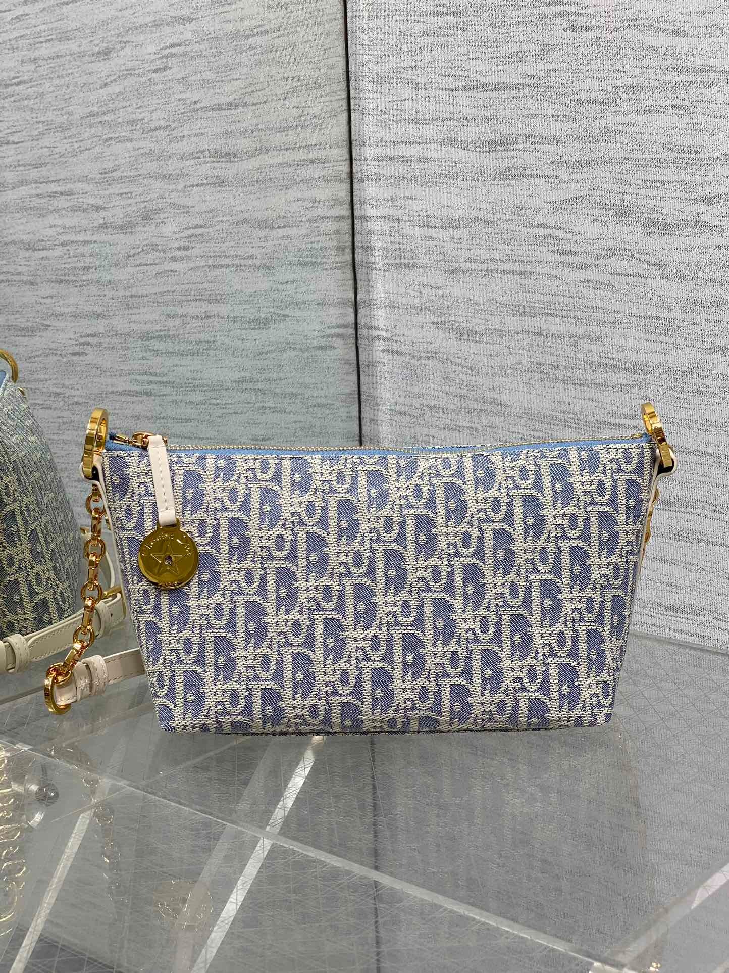 디올 오블리크 스타 페인 호보 백