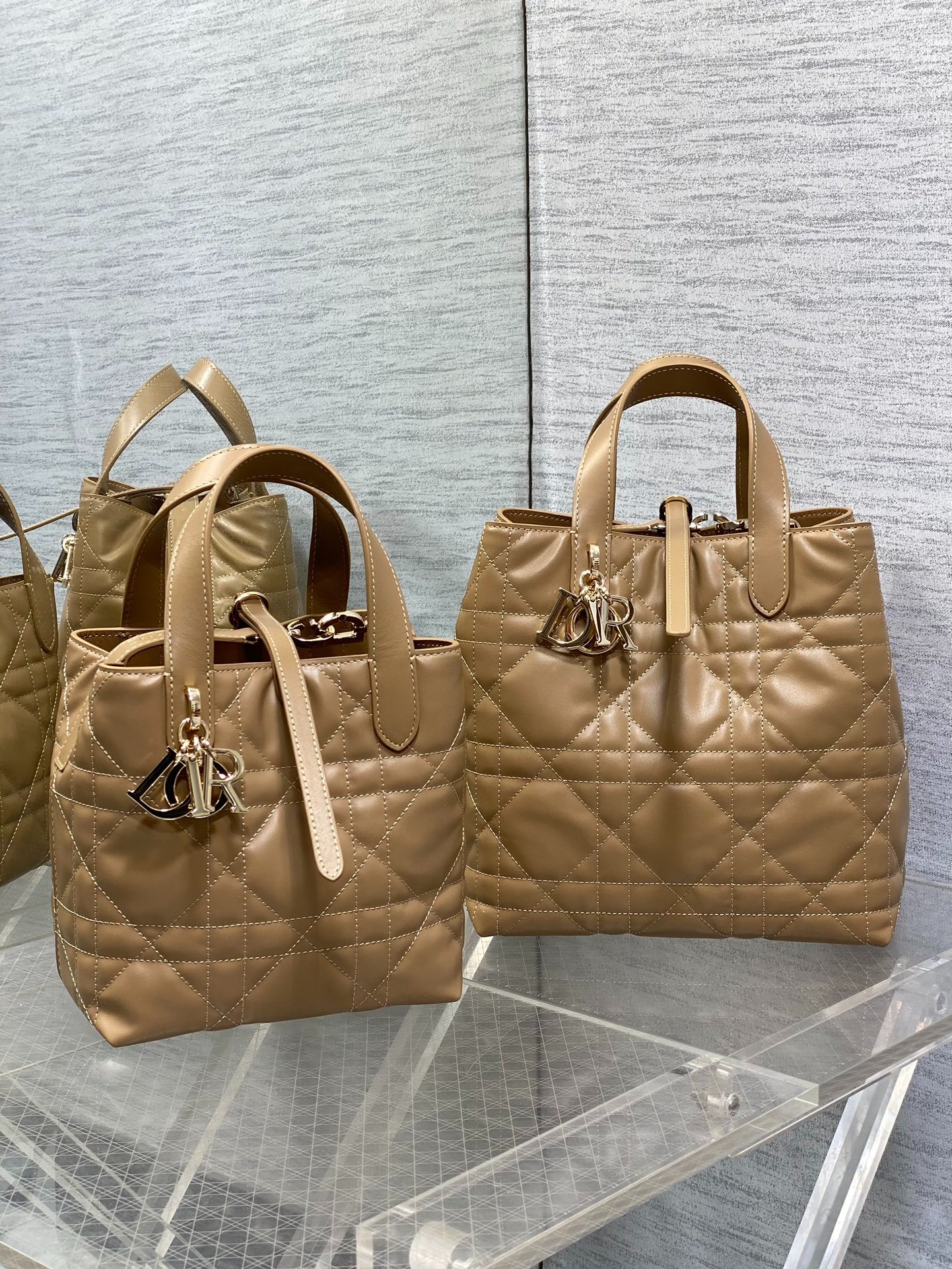 디올 뚜주흐 버티컬 토트백