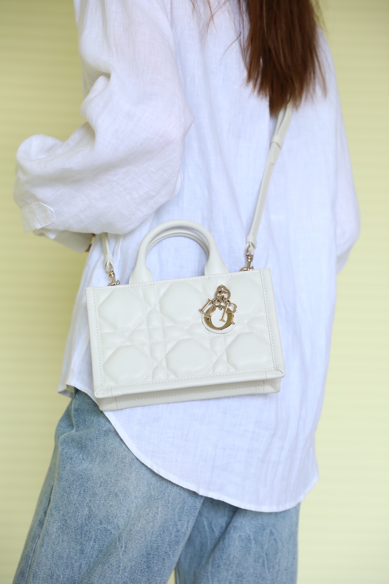 디올 미니 스트랩 북 토트