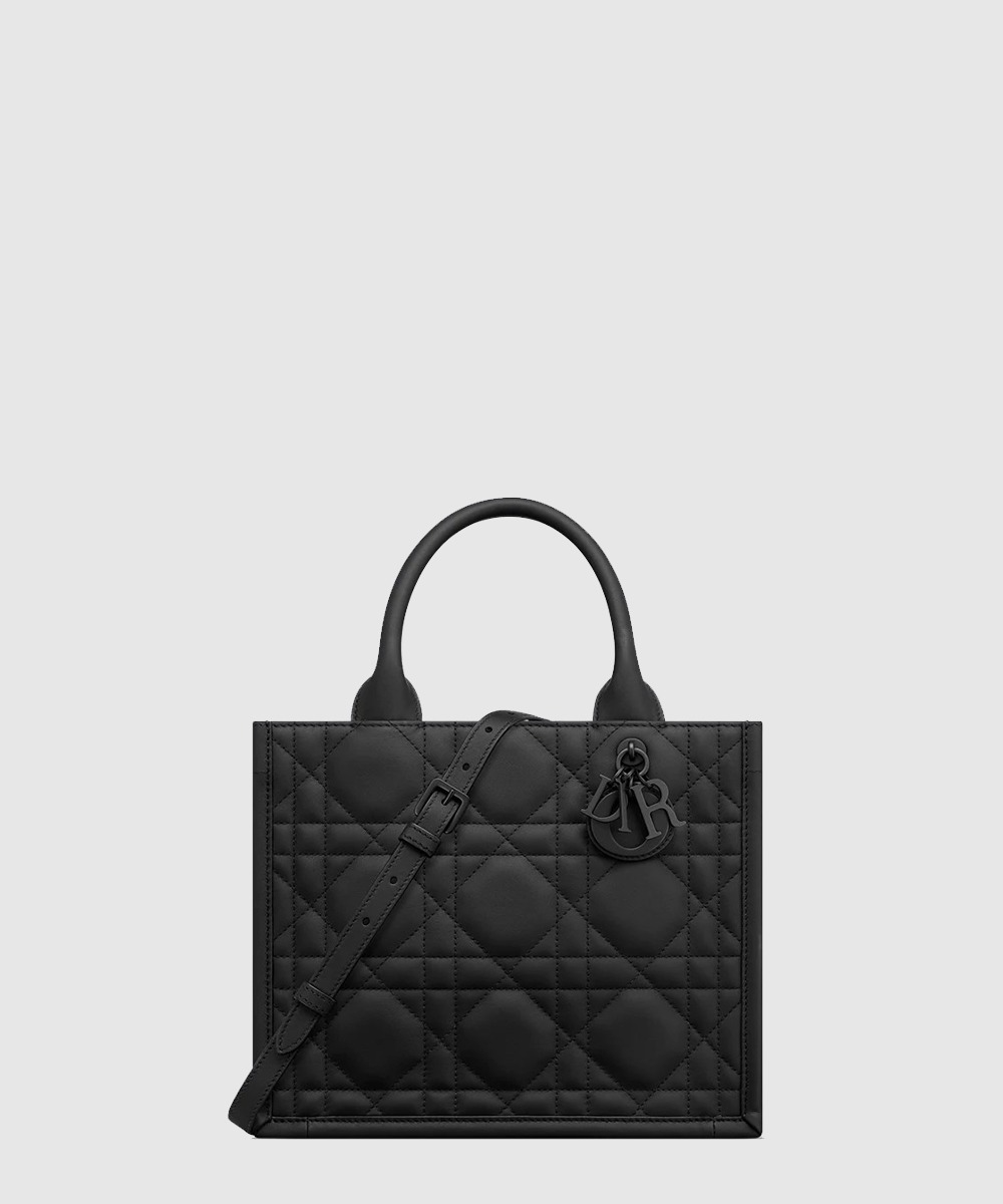 디올 북 토트백 스몰 M1325