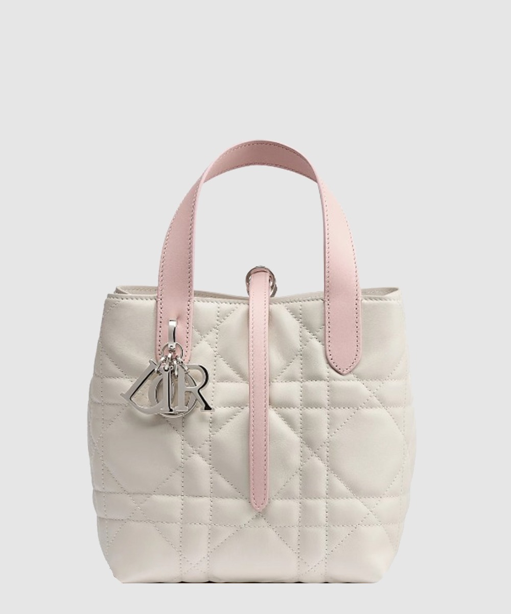 디올 Toujours 버티컬 토트백 스몰 M2835