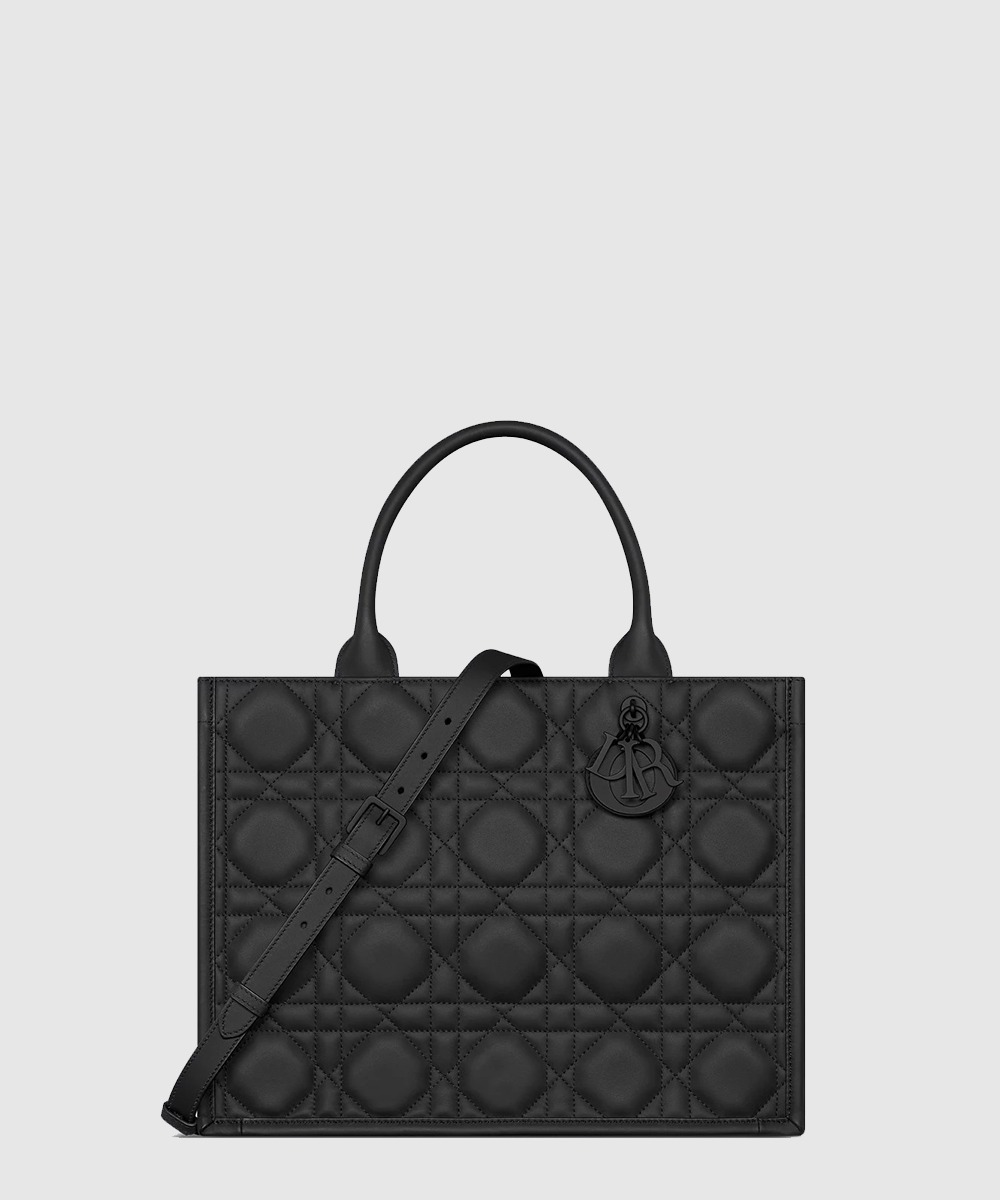 디올 북 토트 쇼퍼백 미듐 M1324